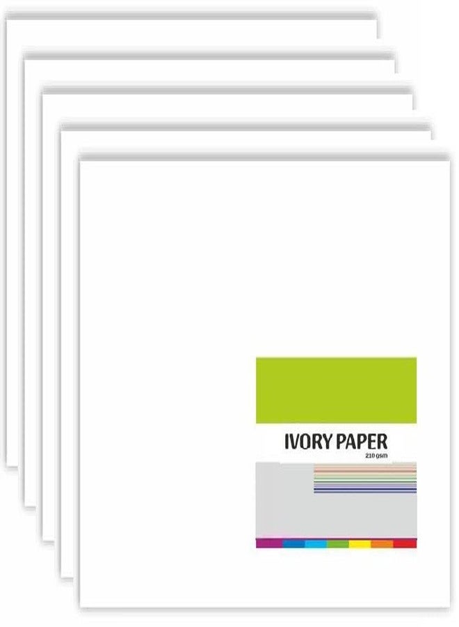 FIRST CLICK Ivory Papers Chart Paper Drawing Paper Sheet 210 GSM Big Size Full (56 x 71 cm) Pack of 5 Sheets Chart Paper - Image 1